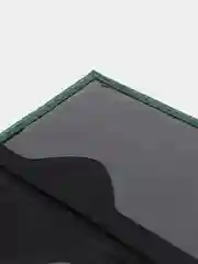 Лесной зеленый обложка на паспорт
