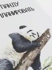 Белый ежедневник/блокнот-планер с отрывными листами, 25 видов