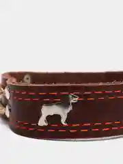 Коричневый ошейник для собак, кожаный с цепочкой