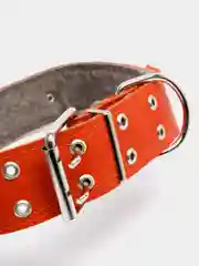 Оранжевый ошейник для собак из натуральной кожи с ватином