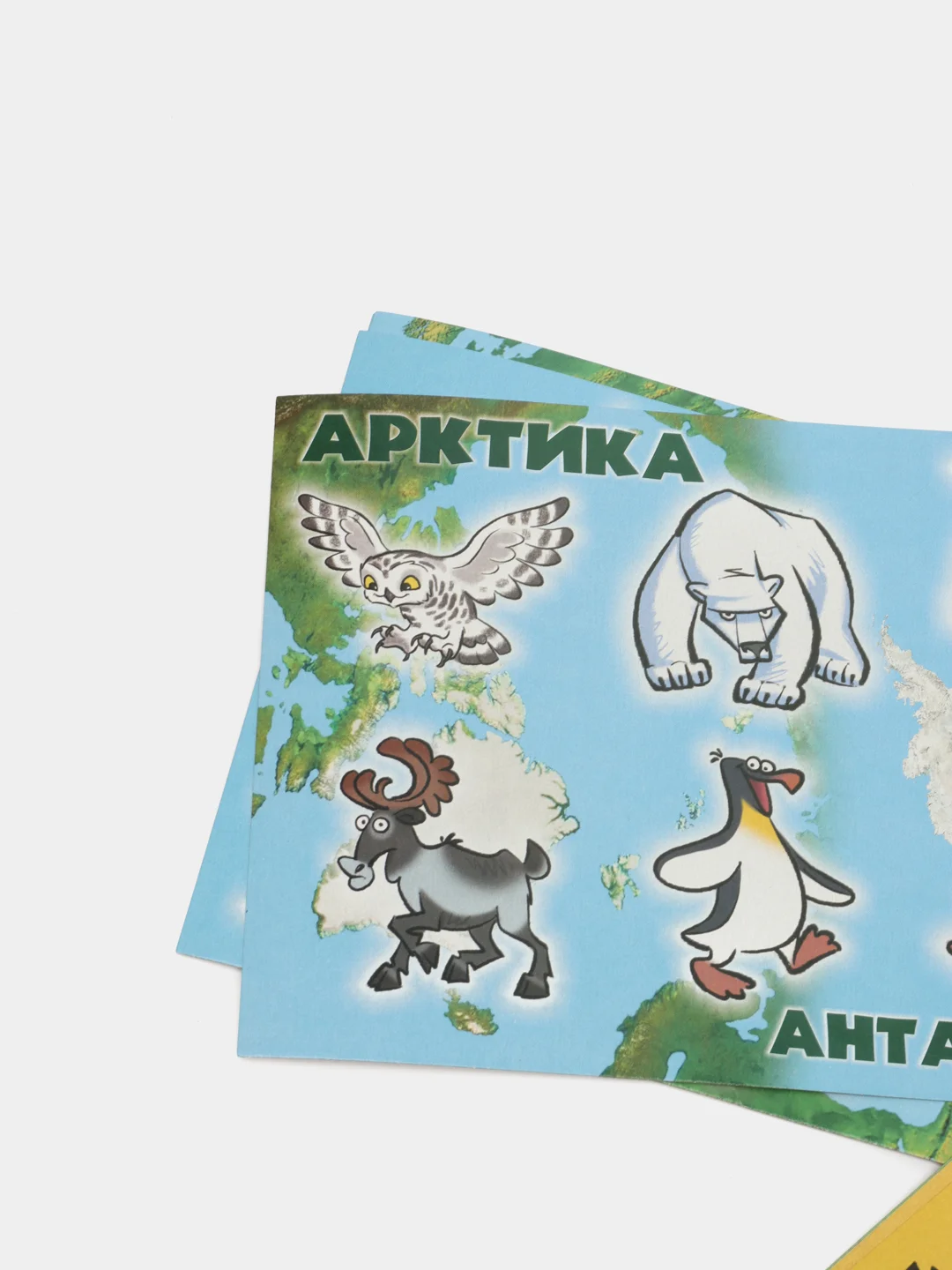 Лото "Кто где живет"