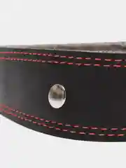 Черный ошейник для собак из натуральной кожи с ватином