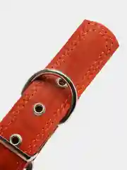 Оранжевый ошейник для собак из натуральной кожи с ватином