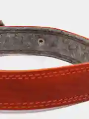 Оранжевый ошейник для собак из натуральной кожи с ватином