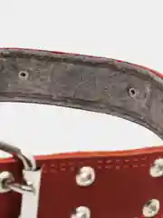 Карамельный ошейник для собак из натуральной кожи с ватином