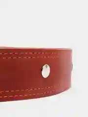 Карамельный ошейник для собак из натуральной кожи с ватином