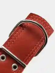 Карамельный ошейник для собак из натуральной кожи с ватином
