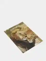 Светло-оранжевый открытка "Комплимент"