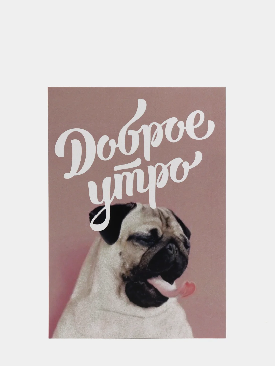 Пудровый открытка "Комплимент"