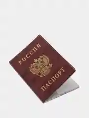 Обложка для паспорта "Триколор", ДПС