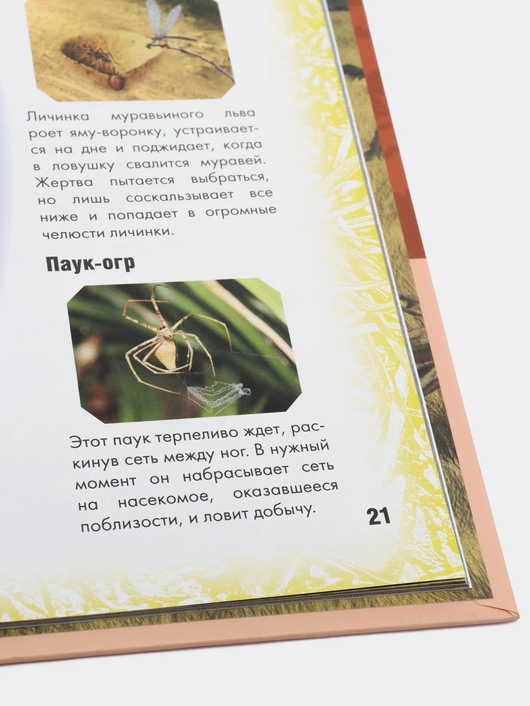 Энциклопедия интересных фактов. Грозные охотники