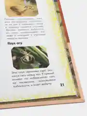 Энциклопедия интересных фактов. Грозные охотники