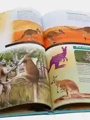Энциклопедия интересных фактов. Загадочные животные