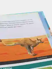Энциклопедия интересных фактов. Загадочные животные