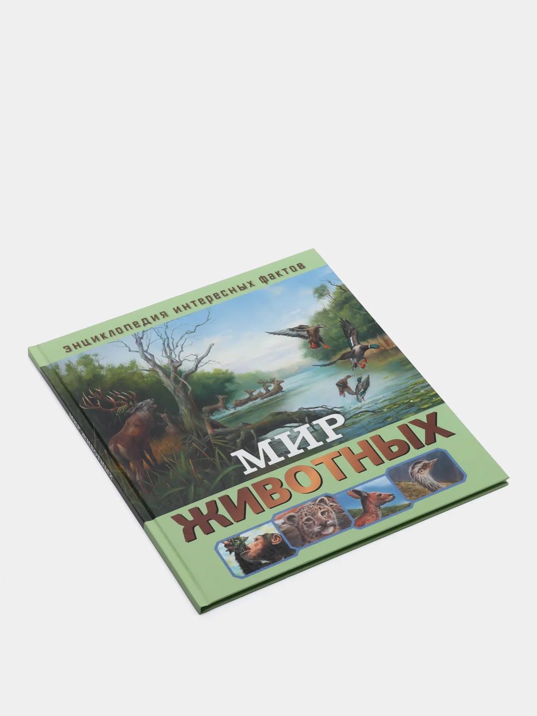 Энциклопедия интересных фактов. Мир животных