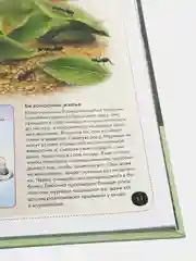 Энциклопедия интересных фактов. Мир животных