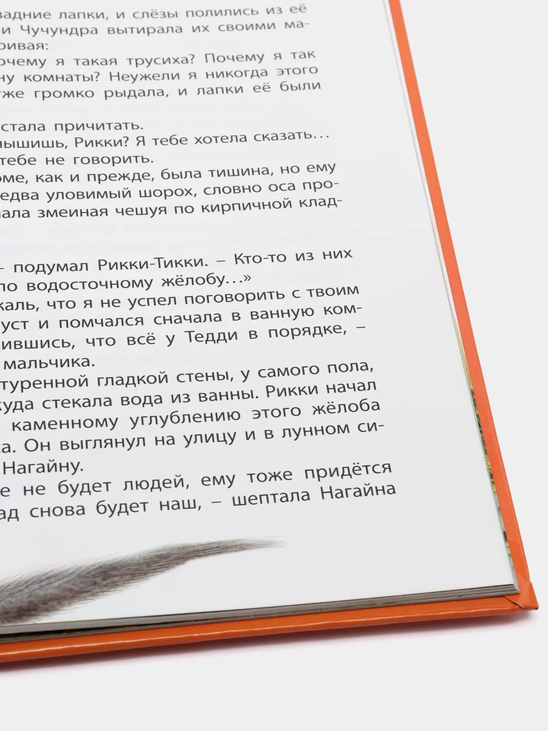 Любимые сказки. Киплинг Р. Сказки. Развивающая книга