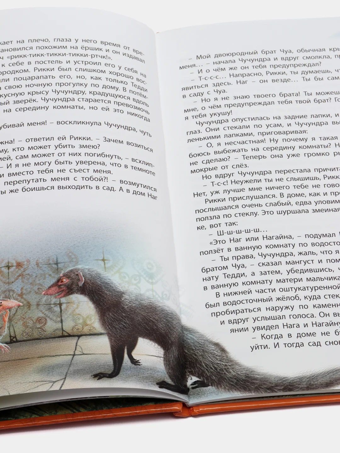 Любимые сказки. Киплинг Р. Сказки. Развивающая книга