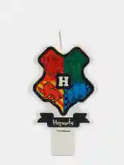 Harry Potter. Парафиновая свеча в торт, в блистере (чиби)
