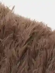 Хаки пушистый плед / Мягкий плед  / Плед-травка / Цвета внутри