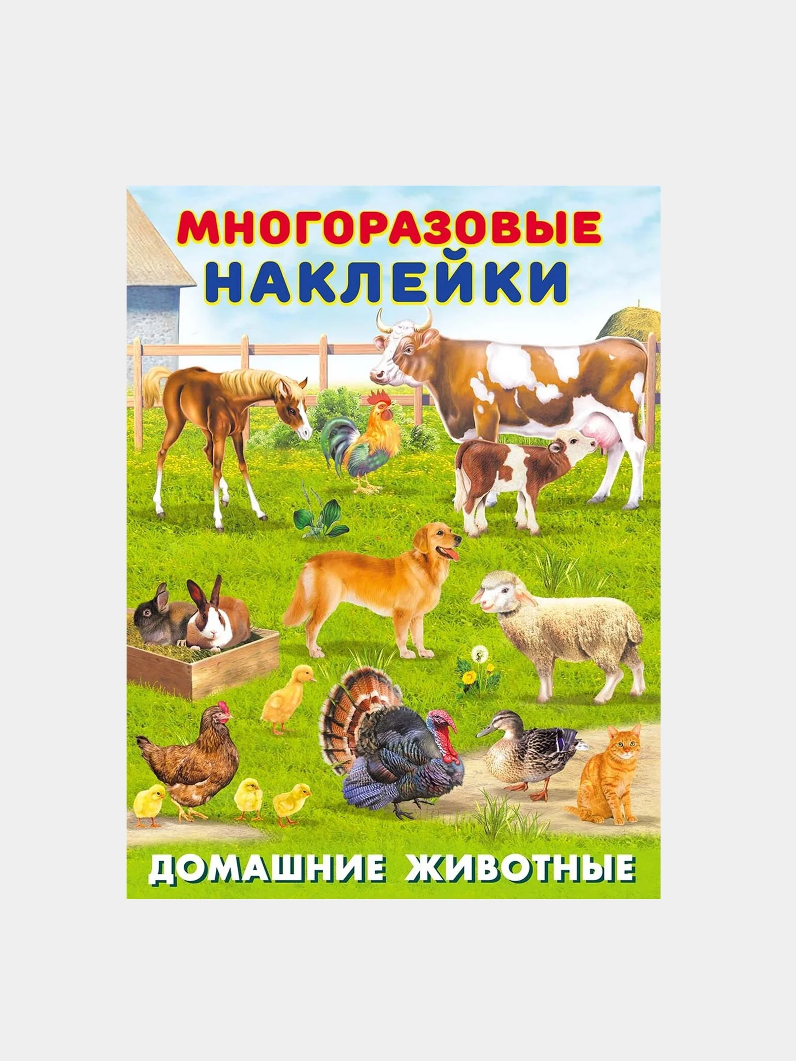 Аметистовый книга с наклейками