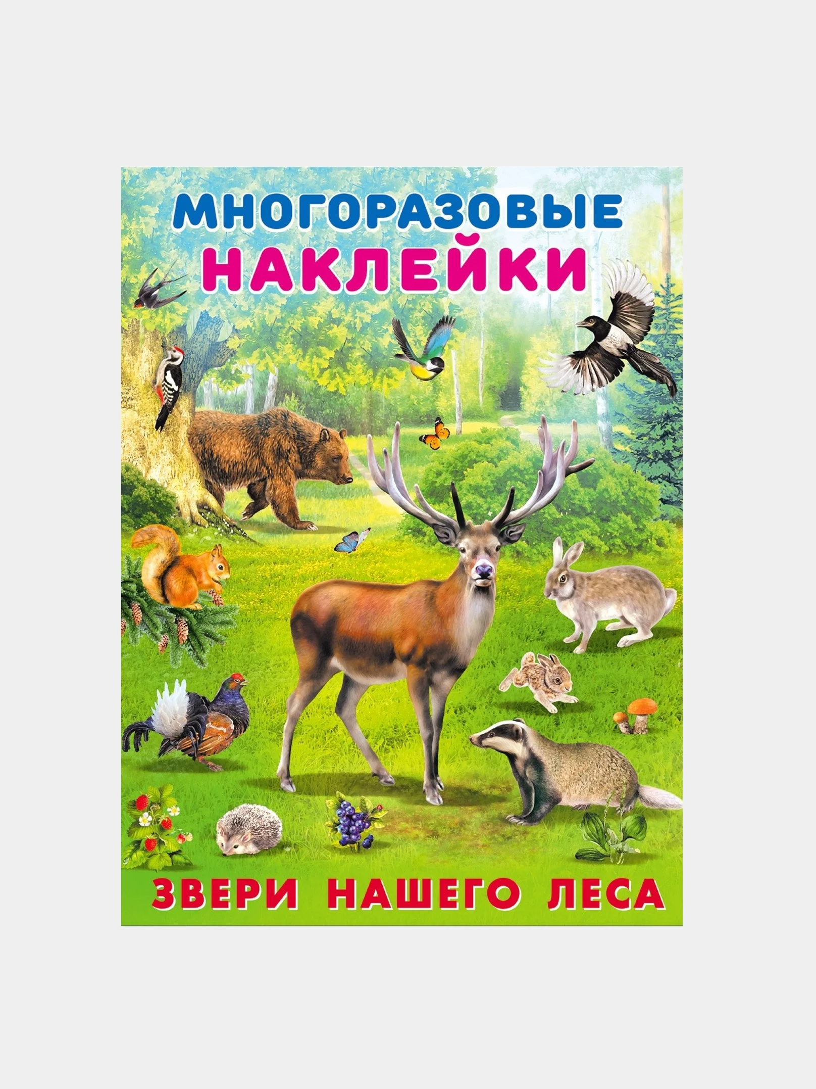 Аметистовый книга с наклейками