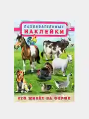 Аметистовый книга с наклейками