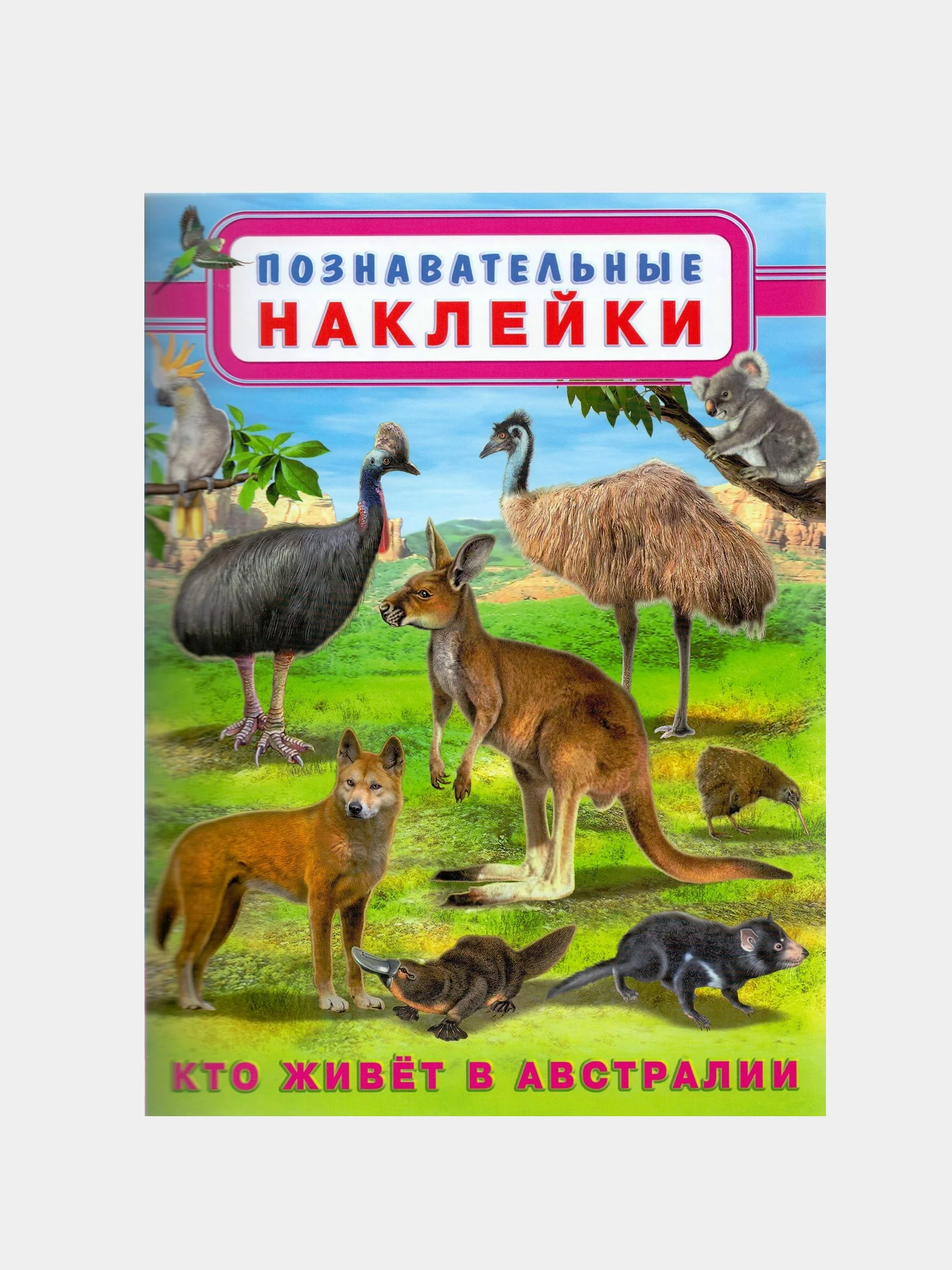 Аметистовый книга с наклейками