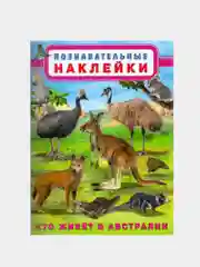 Аметистовый книга с наклейками