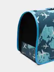 Золотой переноска для кошек и собак мелких пород, с принтом, 40 х 21 х 27 см