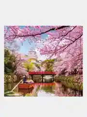 Алмазная мозаика "Цветущая сакура" 40*50 см на подрамнике