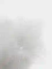 Белый перья - пух для рукоделия, натуральные