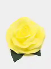 Желтый декоративные лепестки