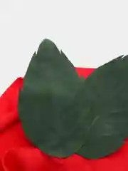 Красный декоративные лепестки