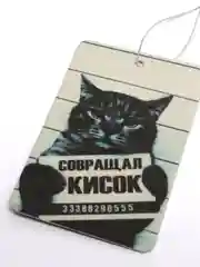 Бирюзовый ароматизатор воздуха для автомобиля, автопарфюм, вонючка в машину, игра в кальмара