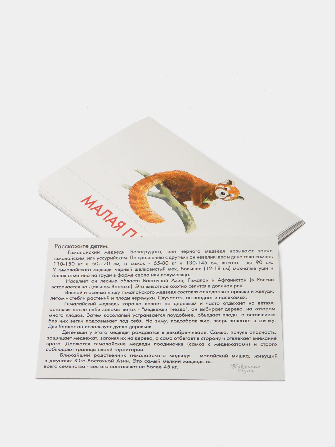 Дидактические карточки "Животные Австралии", "Животные Азии"