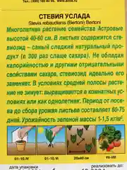 Стевия Услада (семена)
