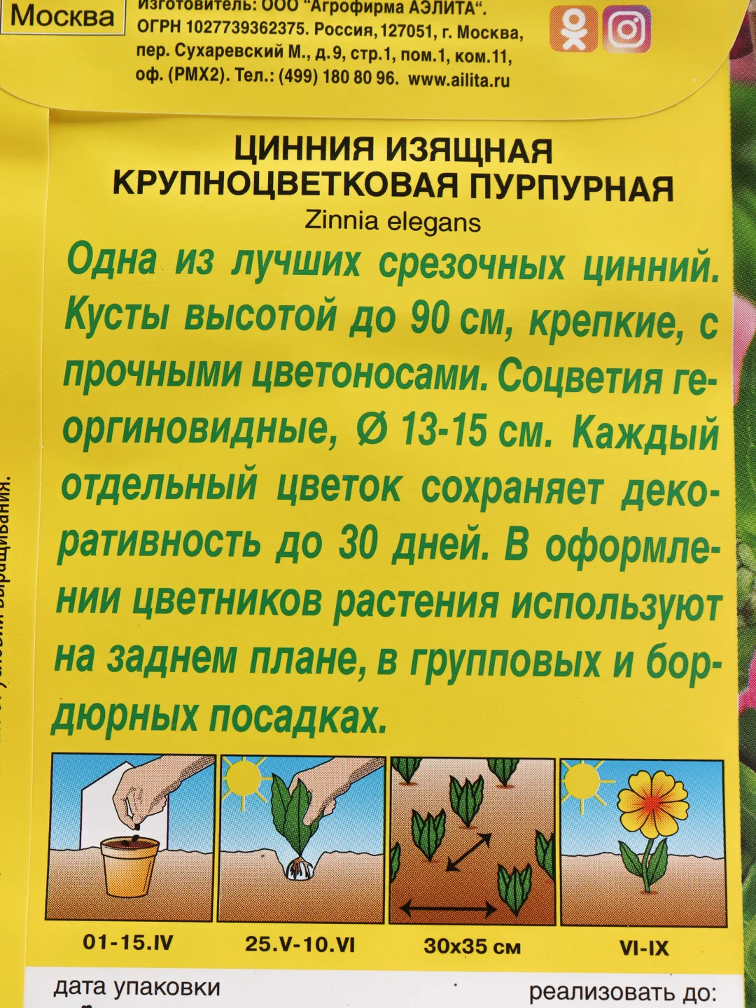 Семена цветов Цинния "Крупноцветковая пурпурная"