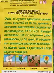Семена цветов Цинния "Крупноцветковая пурпурная"