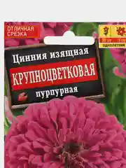 Семена цветов Цинния "Крупноцветковая пурпурная"