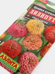 Семена цветов Цинния "Лилипут"