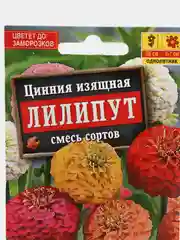 Семена цветов Цинния "Лилипут"