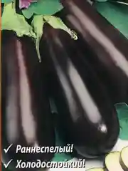 Баклажан Жизель (семена)