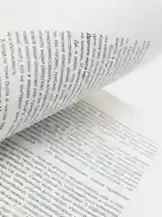 АльфаБета. Как перестать спасать мир и спасти себя, Перцева О.М