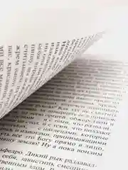 Человек, который смеется, Гюго В.