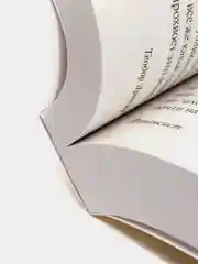 Финансист, Драйзер Т.