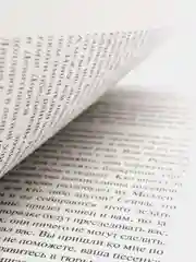 Финансист, Драйзер Т.
