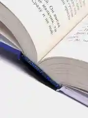 Зазеркалье Нашей Реальности, Медина Мирай