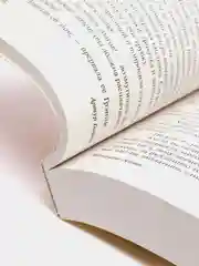 Мемуары гейши. Голден Артур