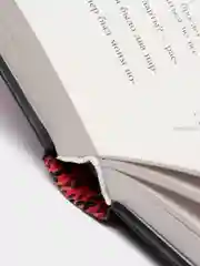 Аспид